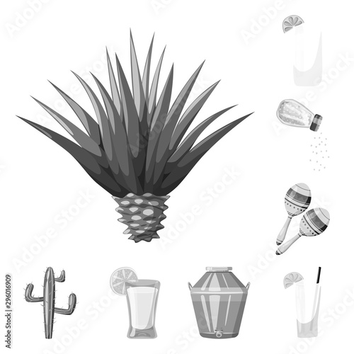 Vector illustration of fajita and fiesta logo. Collection of fajita and celebration stock symbol for web.