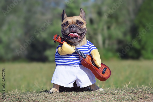 Obraz na plátně Funny laughing French Bulldog dog dressed up as musician wearing a costume with