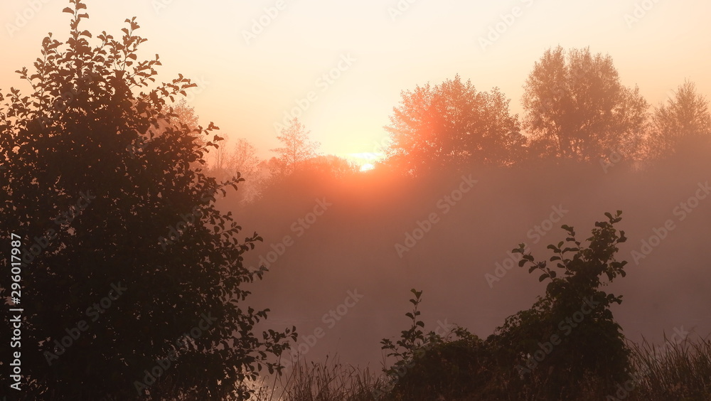 Misty dawn at the river, beautiful summer morning in wood with sun rays and a fog from the river Misty dawn at the river, beautiful summer morning in wood with sun rays and a fog from the river