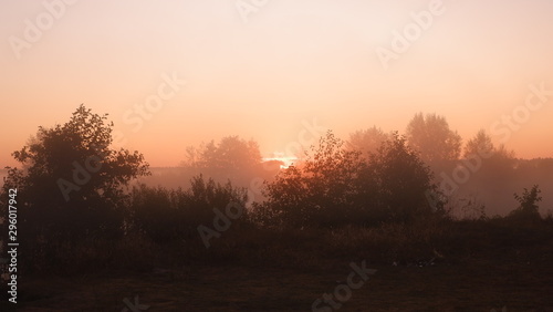 Misty dawn at the river, beautiful summer morning in wood with sun rays and a fog from the river