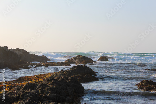 Scenic view of the Pacific Ocean beach in Fort Bragg, California, USA