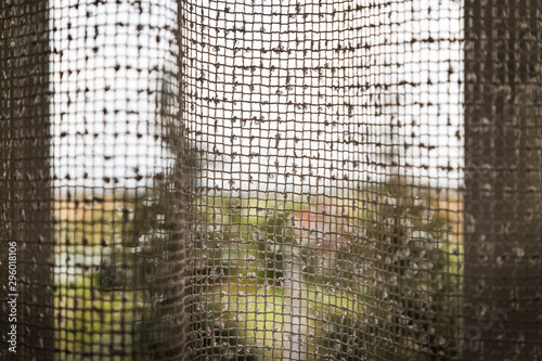 Transparent white curtain on window and nature behind it. Curtain background