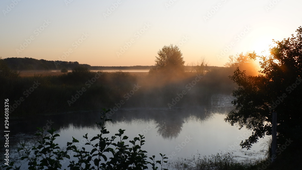 Misty dawn at the river, beautiful summer morning in wood with sun rays and a fog from the river