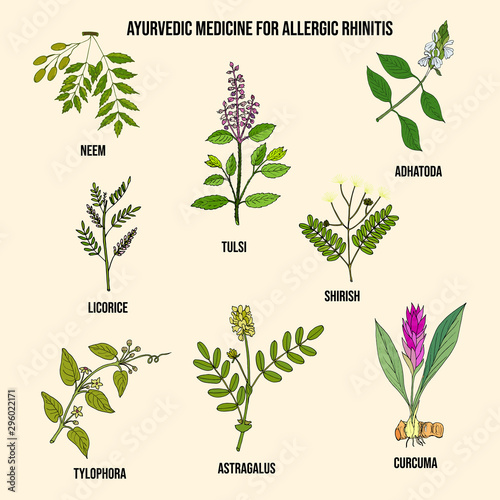 Best ayurvedic herbs for allergic rhinitis