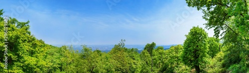 Fototapeta Naklejka Na Ścianę i Meble -  新緑の高尾山山頂からの眺望 パノラマ