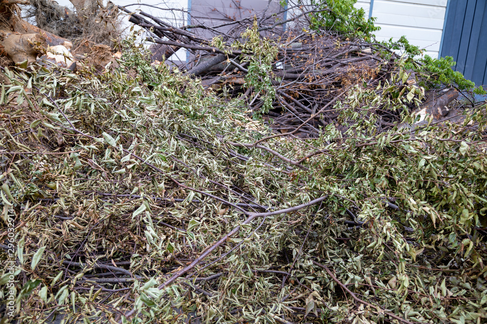 Obraz premium Trees cut off for building construction