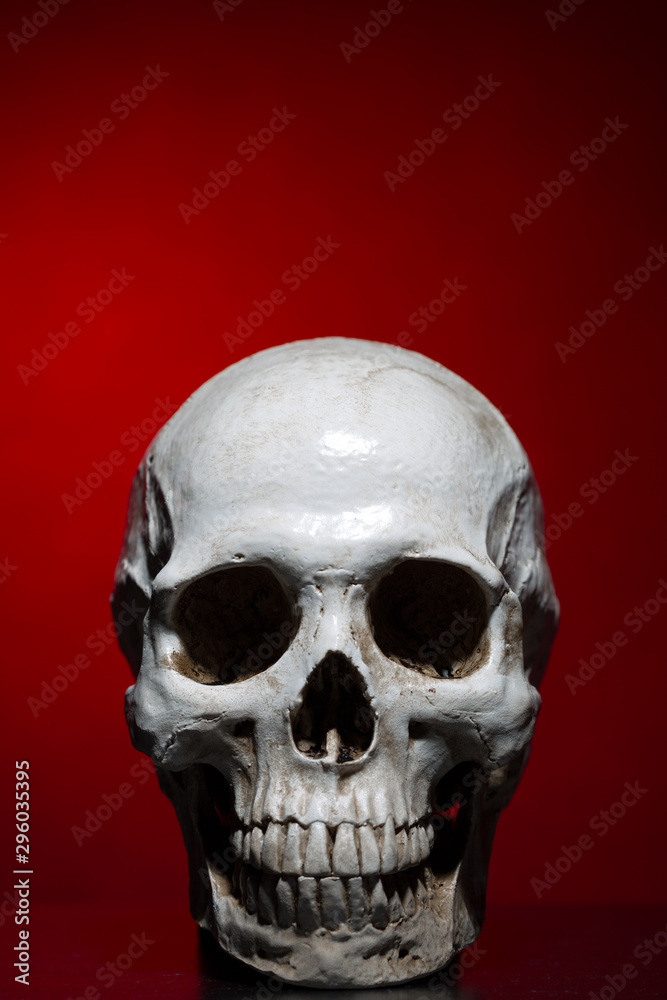 Obraz premium Human skull close up over dark red background