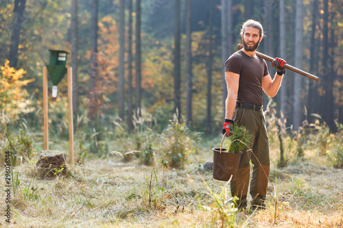 Junger Förster im Wald beim Baum pflanzen photo