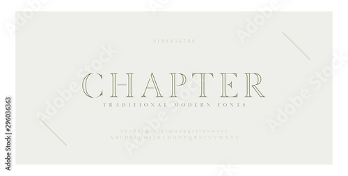 Elegant alphabet letters serif font and number. Classic Lettering Minimal Fashion. Typography thin line fonts uppercase, lowercase and numbers. vector illustration