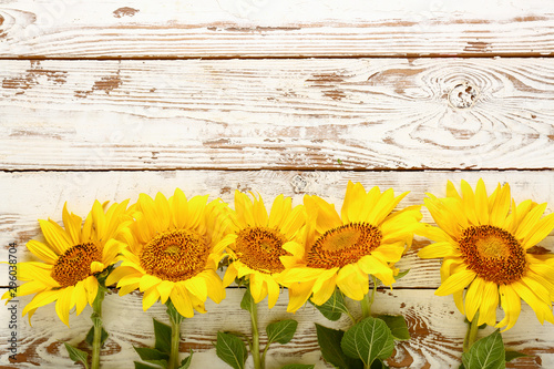 Fototapeta Naklejka Na Ścianę i Meble -  Beautiful sunflowers on white wooden background