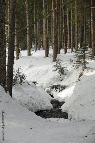 a torrent in the snowed in forest