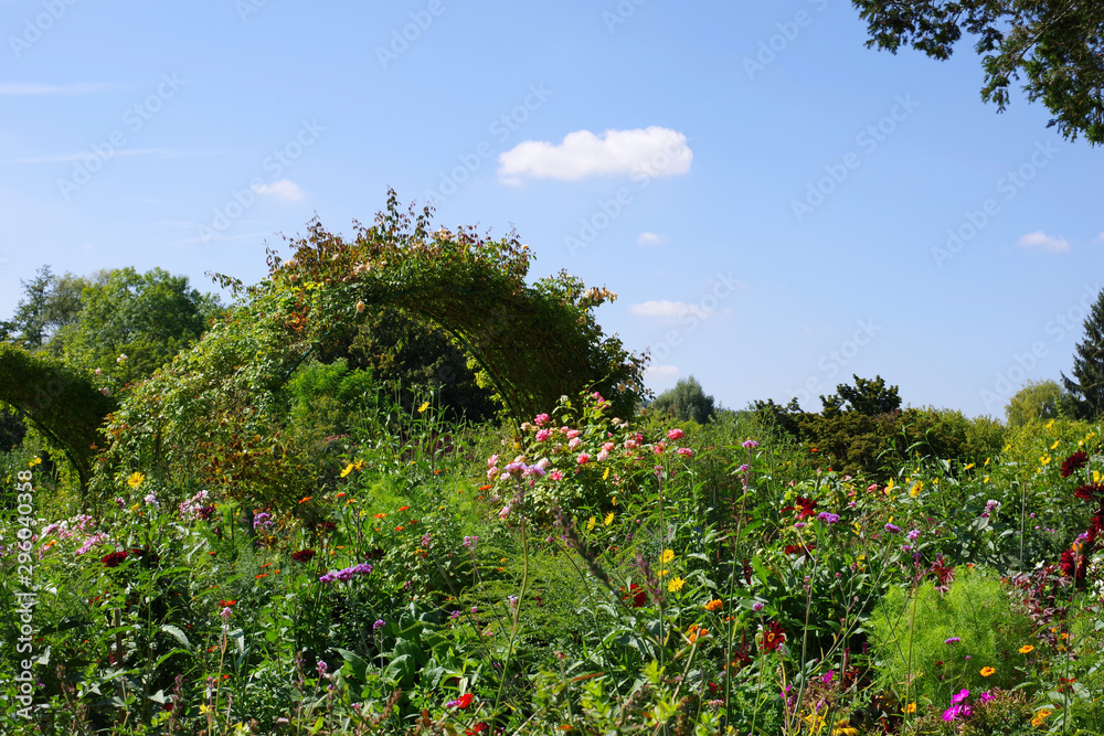 Fototapeta premium Haie du jardin de Claude Monet - 3