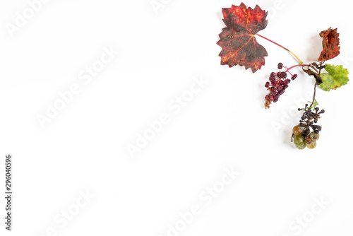 Konstfotografi rotten grapes