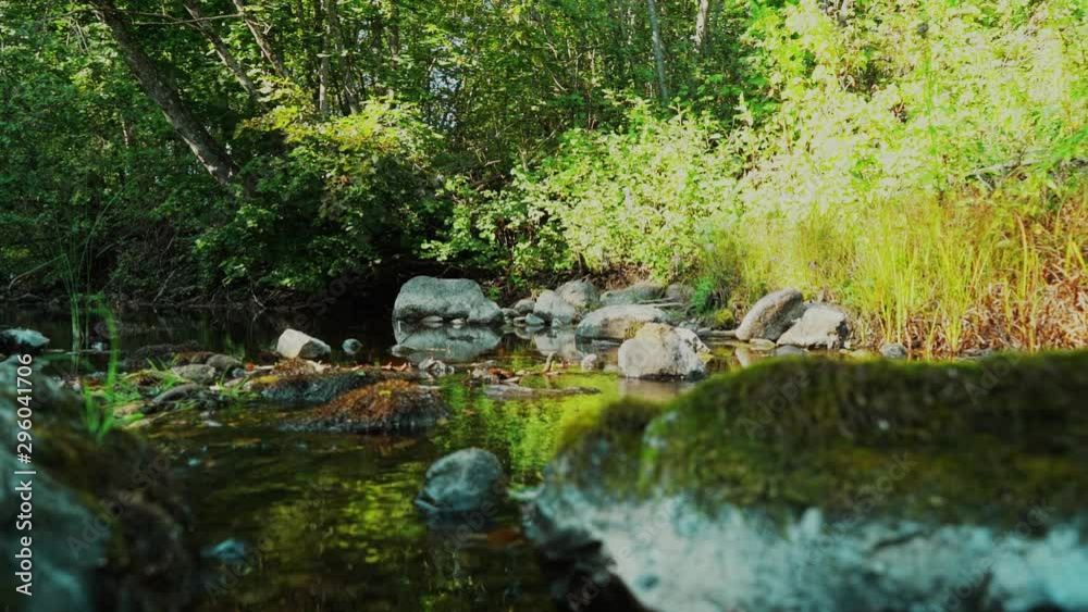 Steadicam shot of river flowing through summer forest at sunset. Nature landscape. Slow motion footage. Steadicam shot of river flowing through summer forest at sunset. Nature landscape. Slow motion footage.