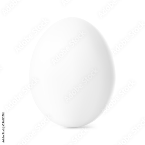 Fresh white chicken egg. Realistic vector illustration isolated on white background. Ready for your design. EPS10.