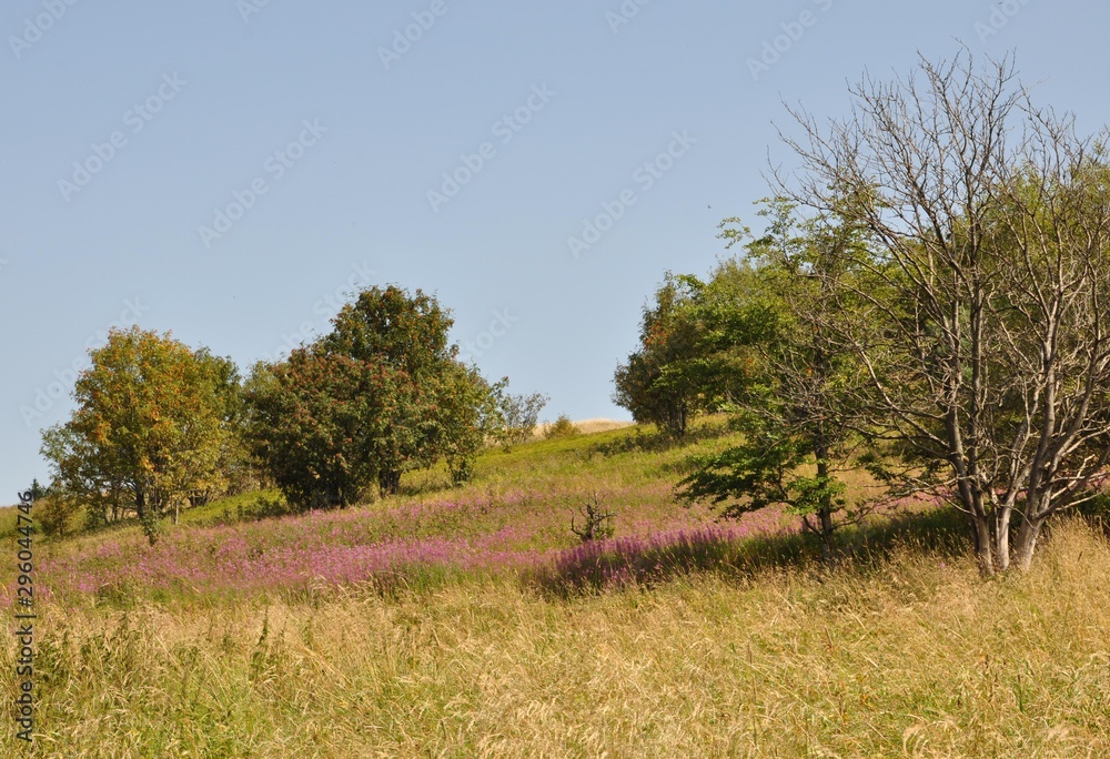 Poppenhausen-Wasserkuppe Poppenhausen-Wasserkuppe