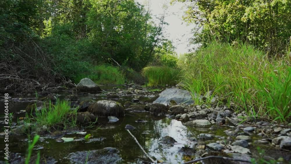 Steadicam shot of river flowing through summer forest at sunset. Nature landscape. Slow motion footage. Steadicam shot of river flowing through summer forest at sunset. Nature landscape. Slow motion footage.