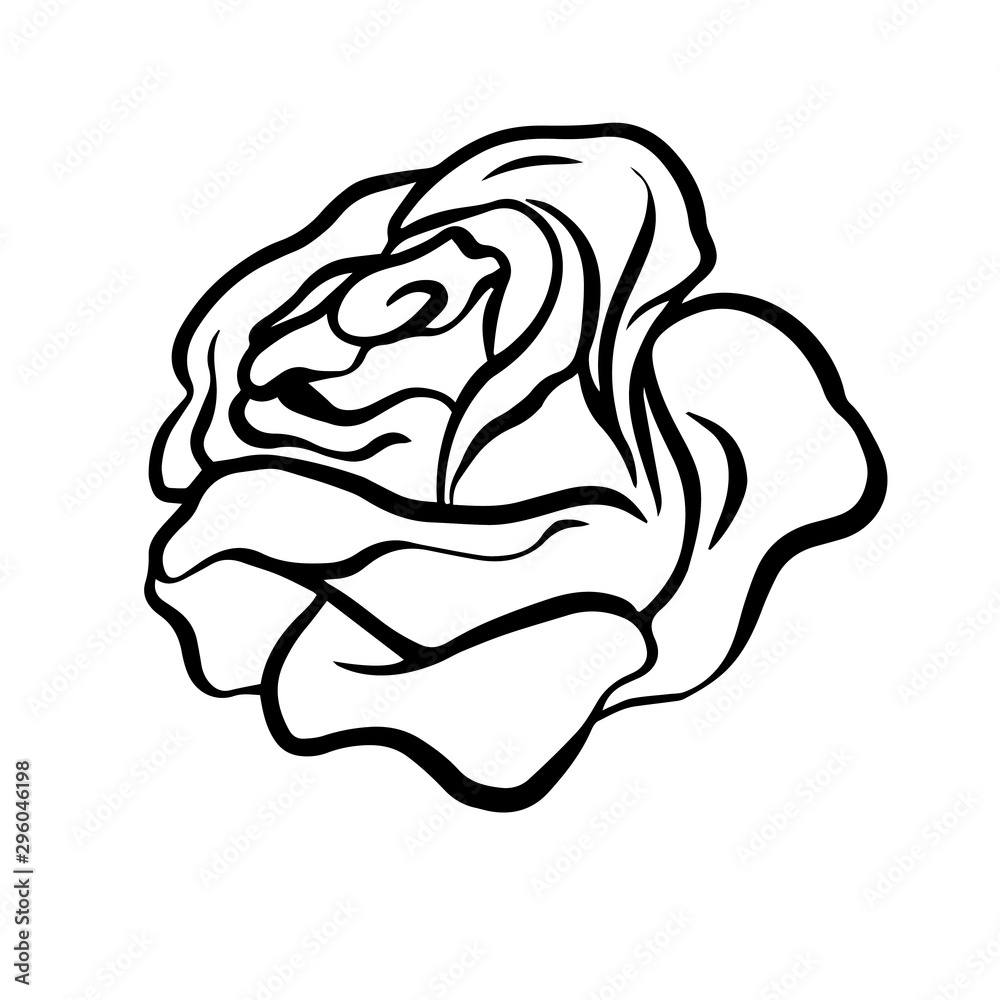 Doodle sketch rose, flower bud illustration on white background Doodle sketch rose, flower bud illustration on white background