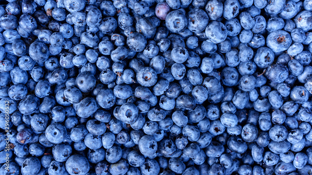 Ripe and juicy fresh picked blueberries closeup Ripe and juicy fresh picked blueberries closeup