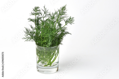 Bunch of fresh chopped dill in a jug with water on a white background
