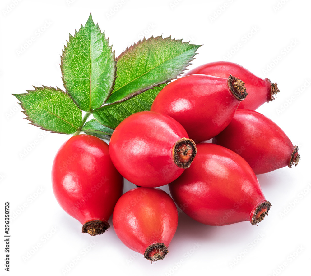 Rose-hips with rose leaves isolated on a white background. Rose-hips with rose leaves isolated on a white background.