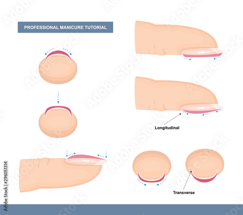 How to Paint Nails Professionally. Tips and Tricks. Manicure Tutorial. Vector Illustration