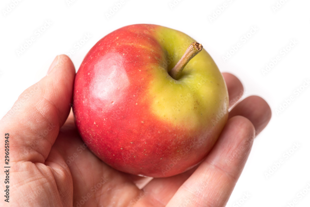 causasian hand holding apple with copy space causasian hand holding apple with copy space