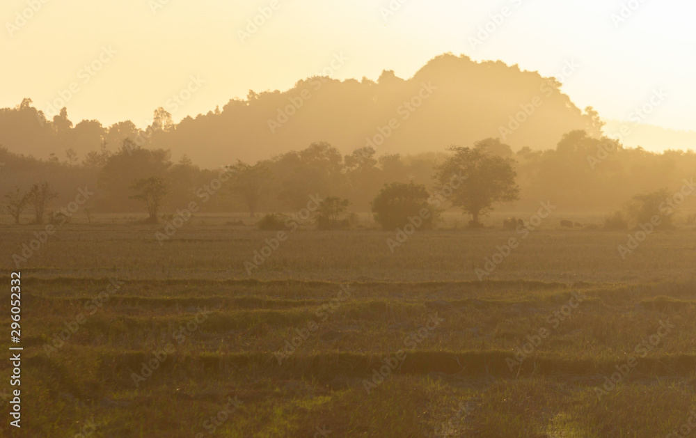 Naklejka premium countryside at sunset