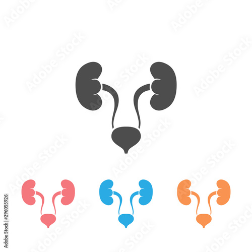 Urinary system vector icon set isolated on white