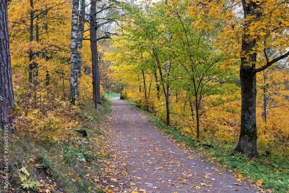 empty autumnal path in city park, Lappeenranta Finland