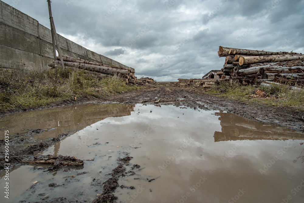 Many softwood logs lie along the road in mud and puddles on a cloudy fall afternoon at an old abandoned sawmill.