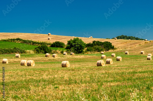 Photography Rural landscape at summer near Bracciano, Rome