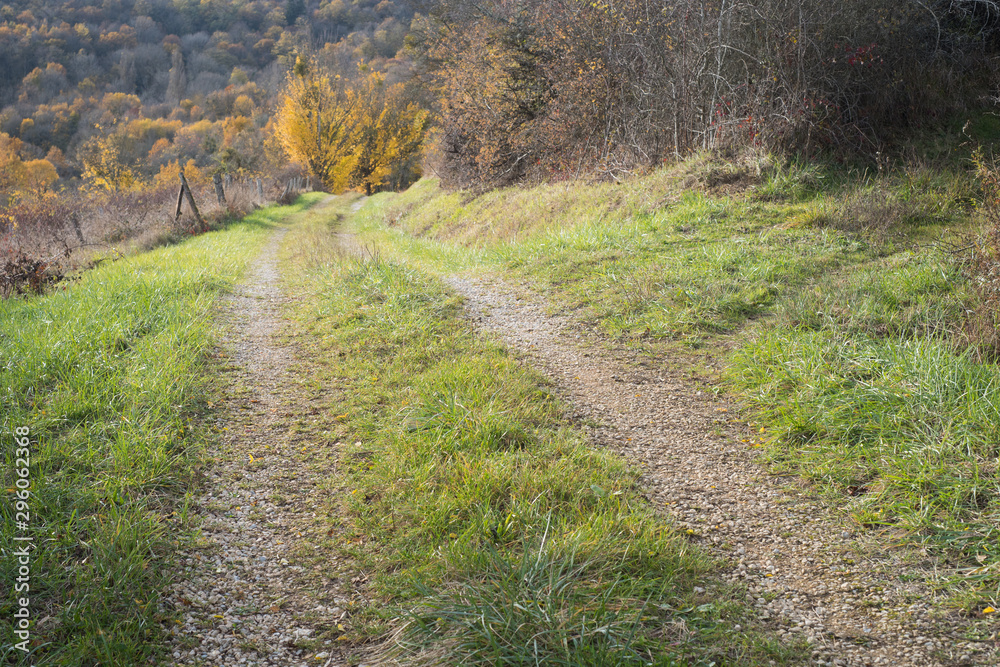 un chemin de campagne automnale. Une route de campagne pendant l'automne. Une route de campagne enherbée. un chemin de campagne automnale. Une route de campagne pendant l'automne. Une route de campagne enherbée.