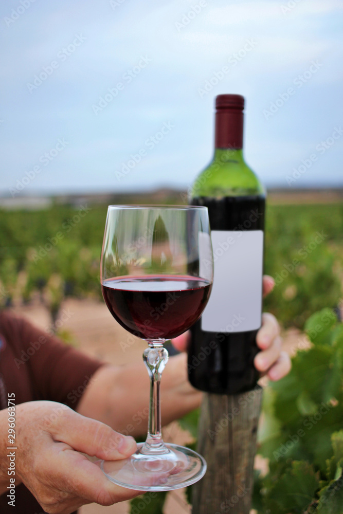 Woman's hand holding a glass and bottle of wine among the vineyards