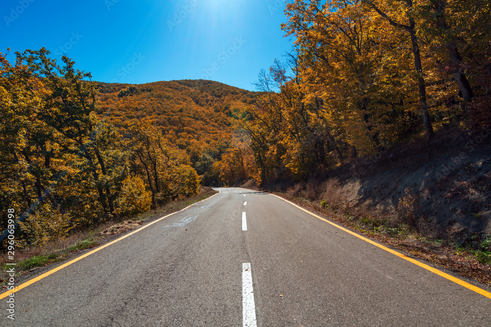 Road among yellow autumn mountain forest Road among yellow autumn mountain forest