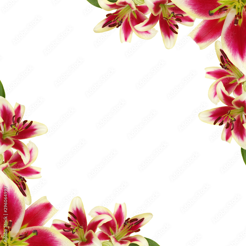 Floral frame made of  liles