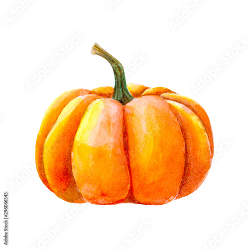 Watercolor pumpkin painting isolated on white background. Autumn harvest. Vegetarian raw food. Hand drawn sketch of a happy Thanksgiving Pumpkin.