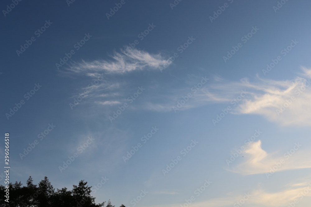 White light clouds floating in the blue sky White light clouds floating in the blue sky