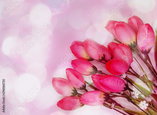 tulips flowers spring floral background card