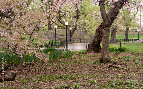 Central Park in spring