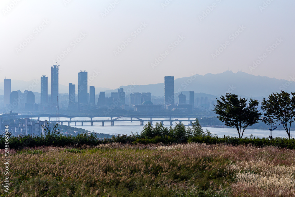 Fototapeta premium A landscape view of the reed beds at the park in the early morning of October, seoul korea