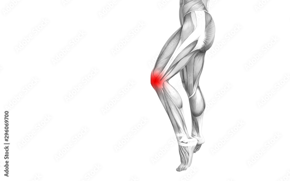 Conceptual knee human anatomy with red hot spot inflammation or articular joint pain for leg health care therapy or sport muscle concepts. 3D illustration man arthritis or bone osteoporosis disease