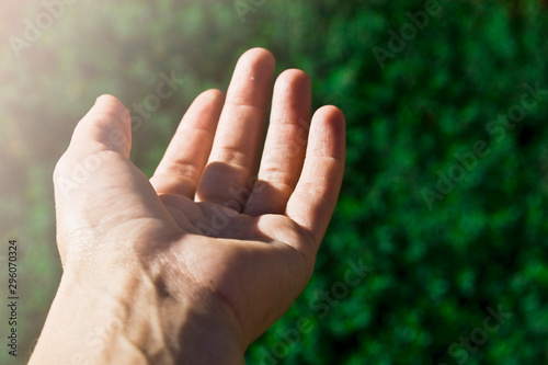Outstretched hand of a woman close-up. Female palm on a background of nature. Good mother's hands © Pavlo