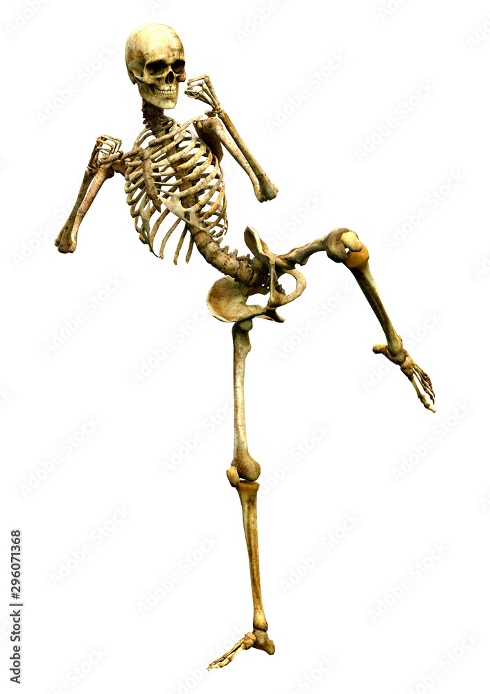 3D Rendering Human Skeleton on White 3D Rendering Human Skeleton on White