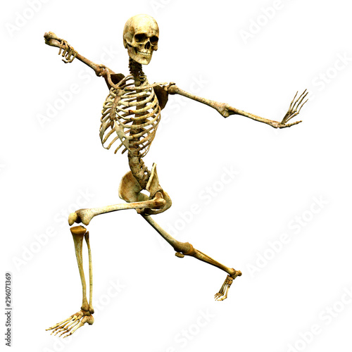 3D Rendering Human Skeleton on White