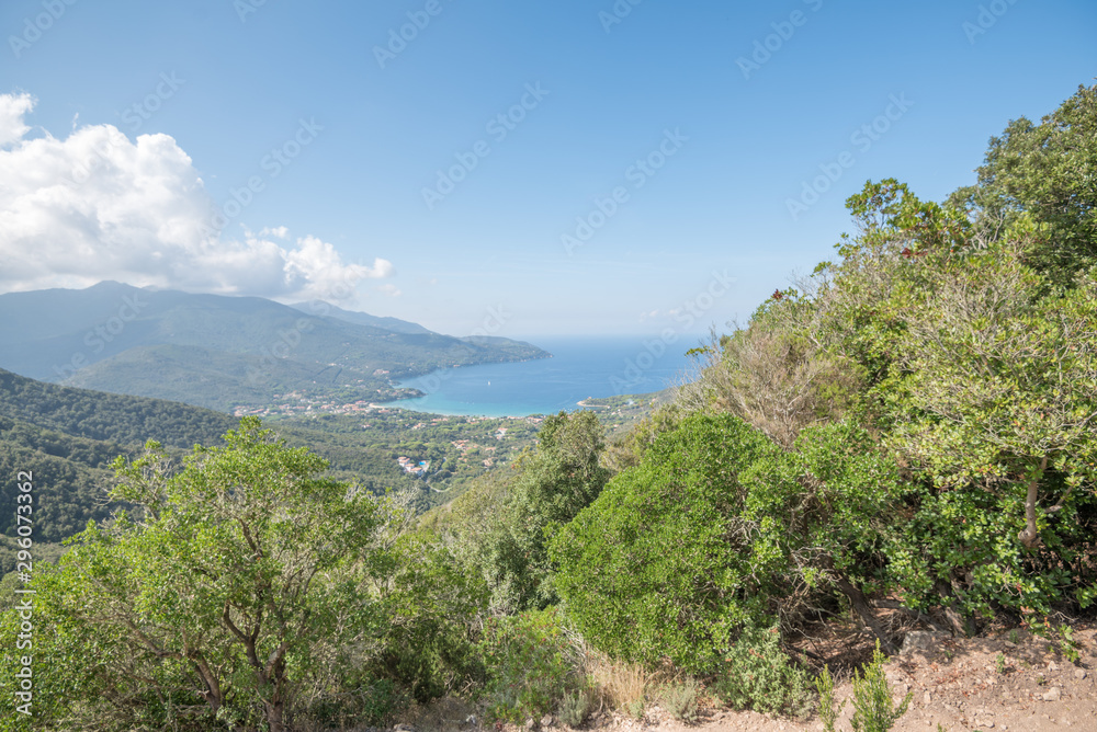 Obraz premium Insel Elba, Küste bei Procchio