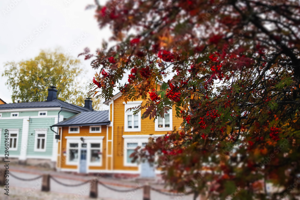 Street of Old Porvoo, Finland. Beautiful city autumn landscape with rowan and colorful wooden buildings.