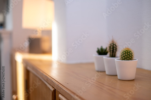 green plant in living room