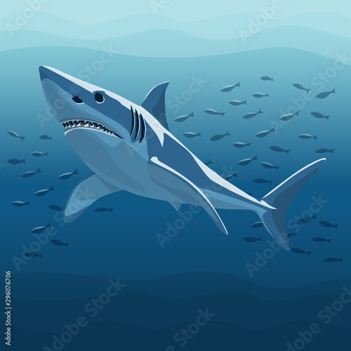 Vector Illustration Of White Shark