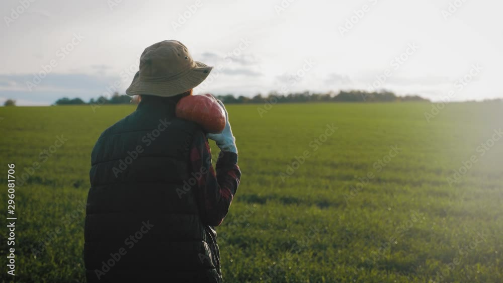 Young woman farmer in hat holding orange pumpkin in her hands the at field at sunset time . Pumpkin harvest. Agriculture. Thanksgiving and Halloween preparation. Concept fresh organic vegetables. Young woman farmer in hat holding orange pumpkin in her hands the at field at sunset time . Pumpkin harvest. Agriculture. Thanksgiving and Halloween preparation. Concept fresh organic vegetables.